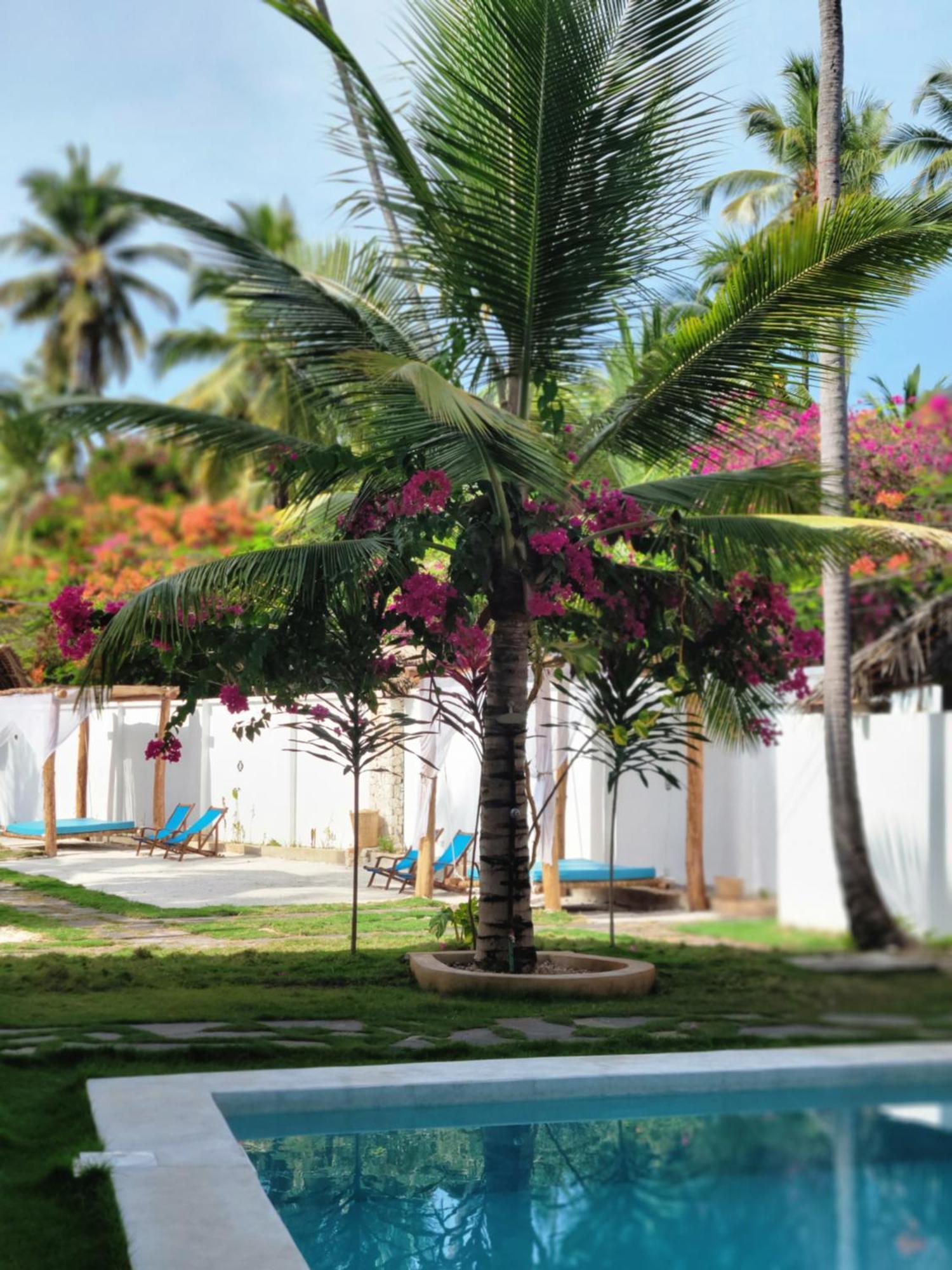 Mambo Cabana Pwani Mchangani Exterior foto
